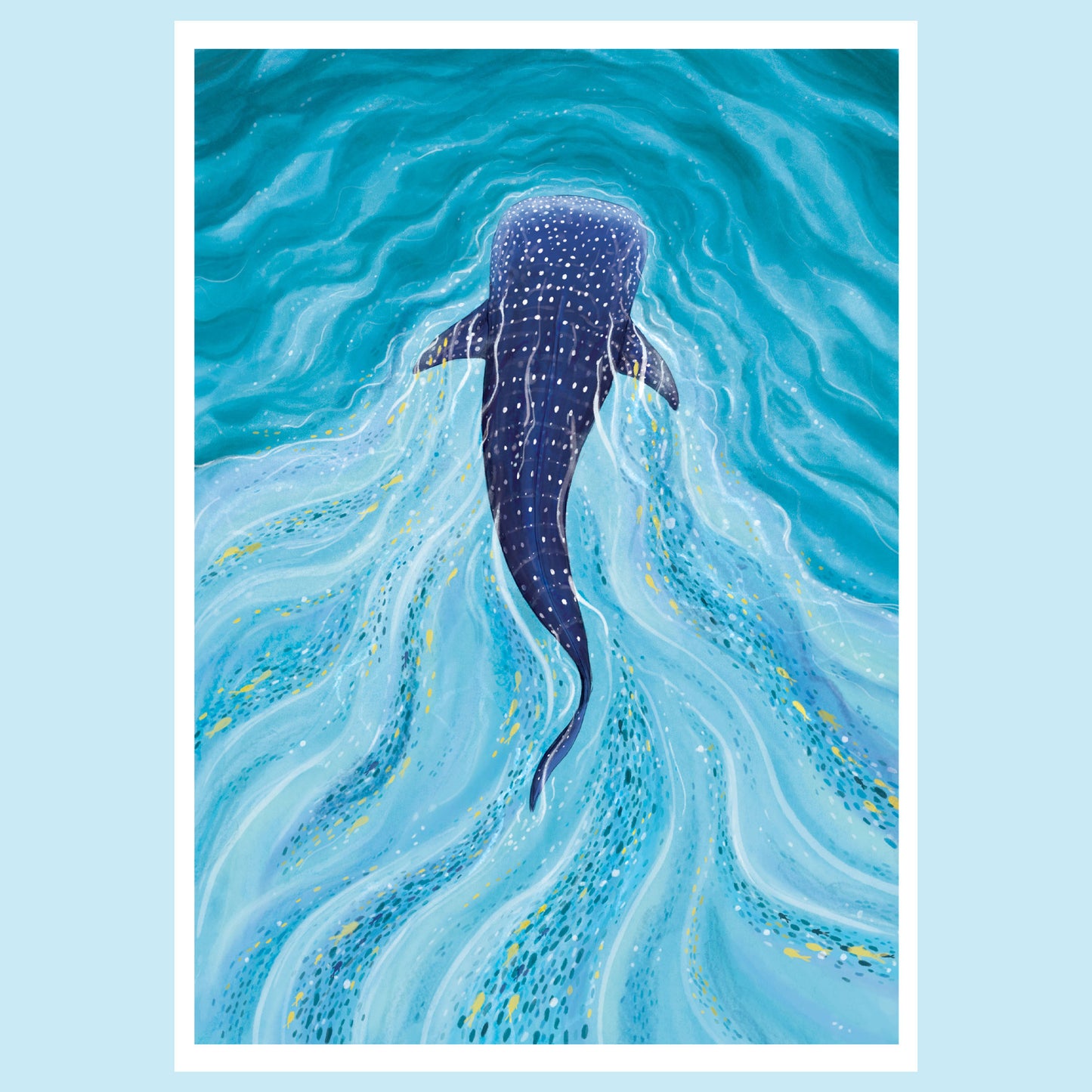 Whale Shark Print