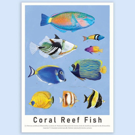 Coral Reef Fish Scientific Print