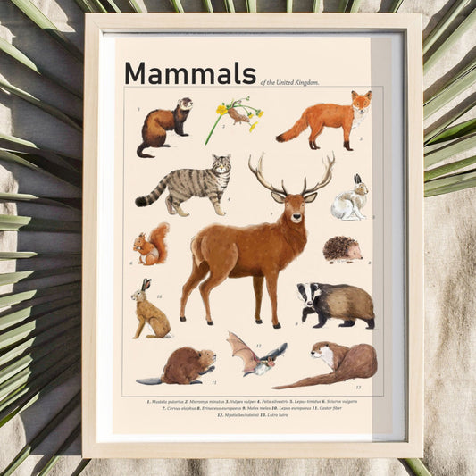 Mammals of the UK