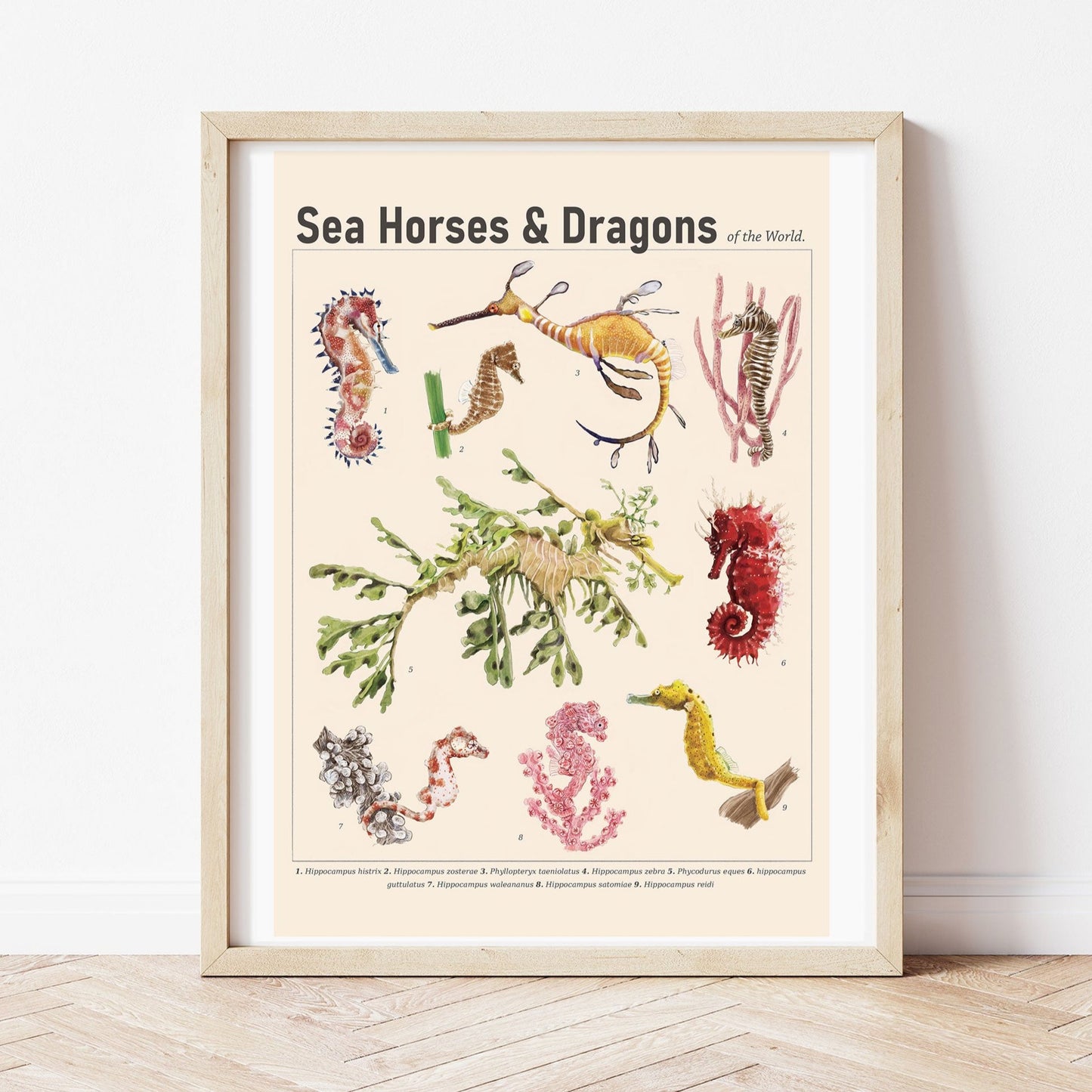 Seahorses & Dragons Scientific Print